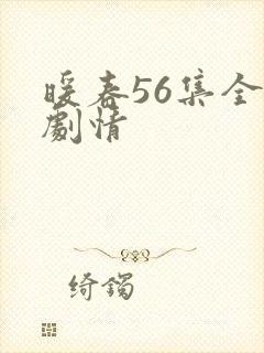 暖春56集全部剧情