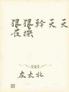 狠狠干天天插夜夜操