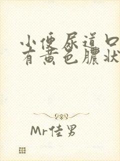 小便尿道口刺痛有黄色脓状液体