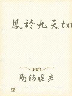 凤于九天txt