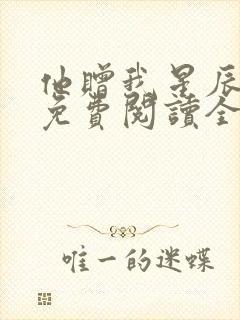 他赠我星辰满天免费阅读全文封面