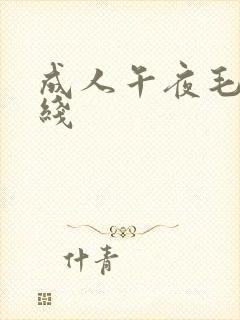 成人午夜毛片在线封面