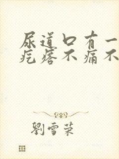 尿道口有一个小疙瘩不痛不痒