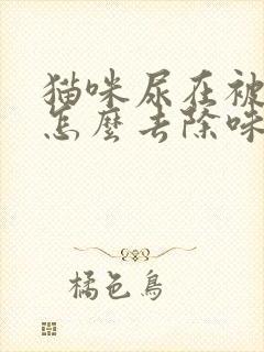 猫咪尿在被子上怎么去除味道封面