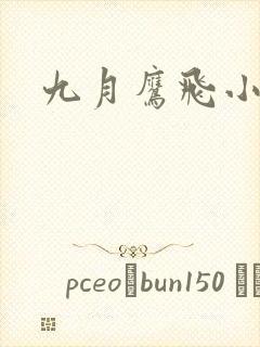 九月鹰飞小说封面