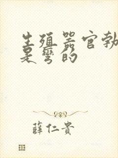 生殖器官勃起后是弯的