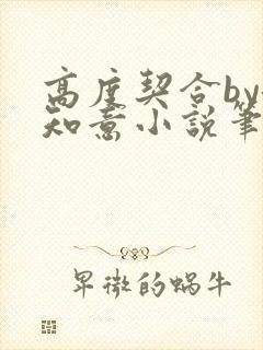 高度契合by洛知意小说笔趣阁无弹窗封面