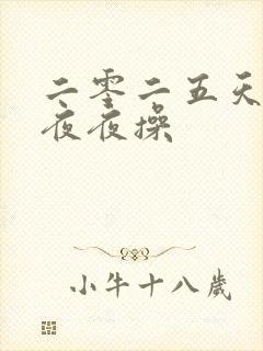 二零二五天天干夜夜操