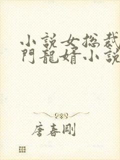 小说女总裁的上门龙婿小说