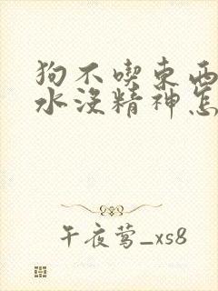 狗不吃东西不喝水没精神怎么回事