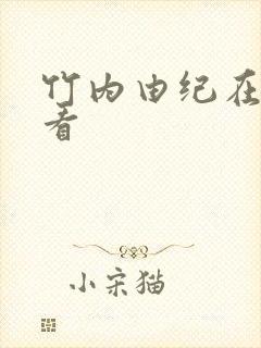 竹内由纪在线观看