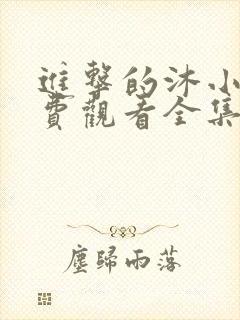 进击的沐小姐免费观看全集封面