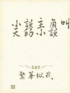 小说主角叫叶凌天的小说