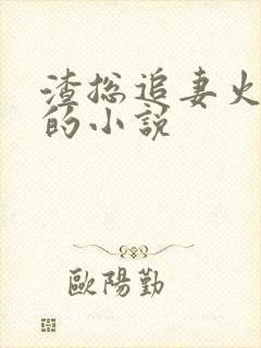 渣总追妻火葬场的小说封面