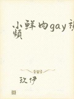 小鲜肉gay视频