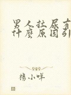 男人拉尿有血是什么原因引起的