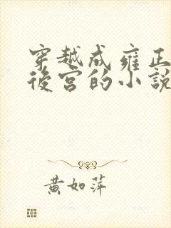 穿越成雍正极品后宫的小说