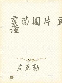 霉菌图片 豆腐渣