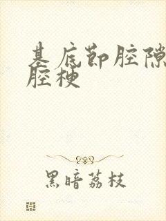 基底节腔隙性脑腔梗封面