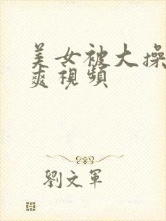 美女被大操的好爽视频