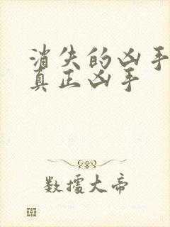 消失的凶手结局真正凶手