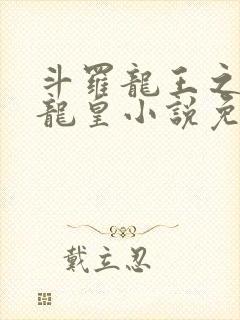 斗罗龙王之光暗龙皇小说免费阅读