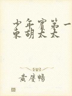 少年宾第一章房东胡太太封面