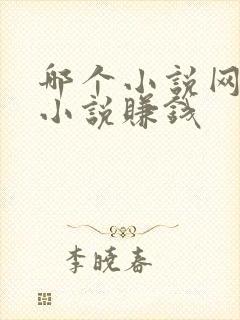 哪个小说网站看小说赚钱