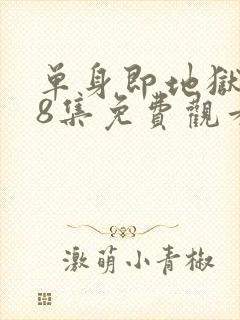 单身即地狱5第8集免费观看电视剧全集