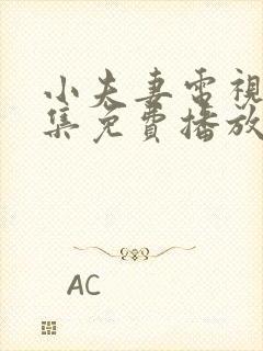 小夫妻电视剧全集免费播放高清