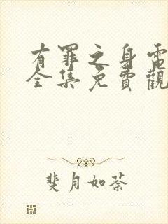 有罪之身电视剧全集免费观看