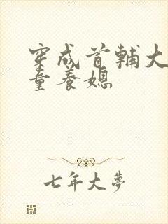 穿成首辅大人的童养媳封面