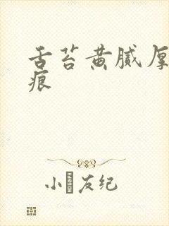 舌苔黄腻厚有齿痕