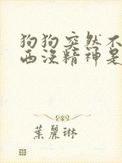 狗狗突然不吃东西没精神是怎么了