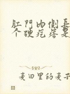 肛门内侧长了一个硬疙瘩是怎么回事封面