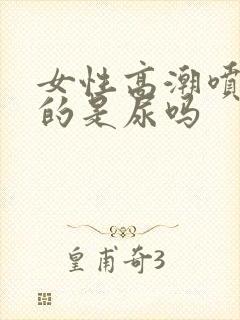 女性高潮喷出来的是尿吗