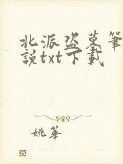北派盗墓笔记小说txt下载