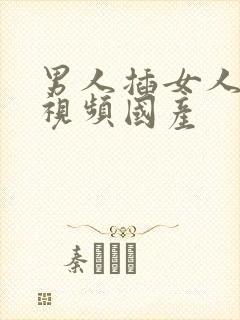 男人插女人的逼视频国产