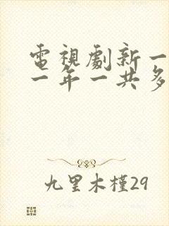 电视剧新一年又一年一共多少集