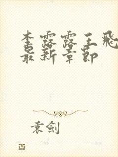 李露露王飞小说最新章节