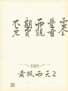 不期而爱电视剧免费观看全集