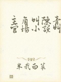 主角叫陈青云的官场小说叫什么名字封面