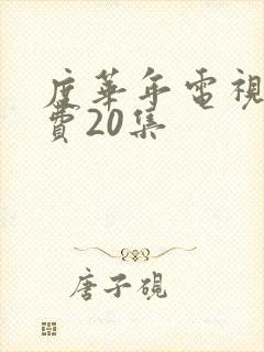 度华年电视剧免费20集