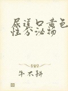 尿道口黄色液体性分泌物