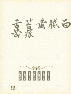 舌苔黄腻白厚有齿痕