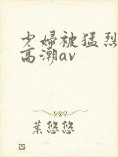 少妇被猛烈进入高潮av