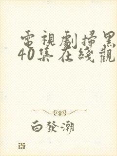 电视剧扫黑风暴40集在线观看免费完整版v