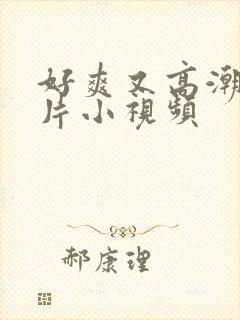 好爽又高潮了毛片小视频