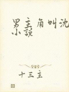 男主角叫沈泽的小说