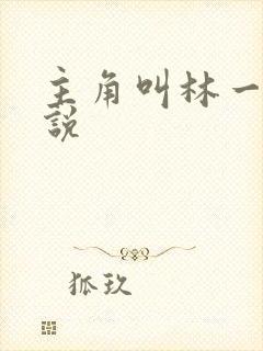 主角叫林一的小说
